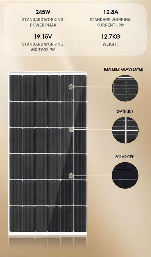 HITHIUM 245W 19V Monocrystalline Solar Panel