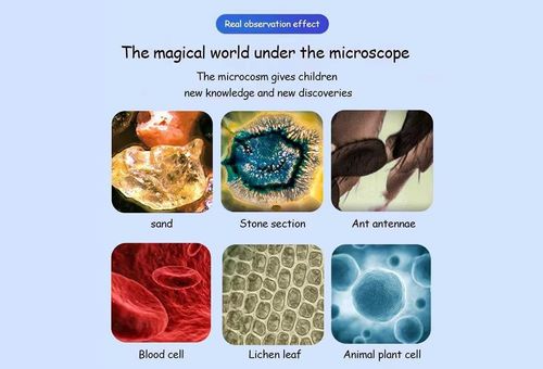Educational microscope for kids