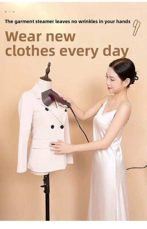 Mini Handheld Steam Garment Steamer Compact Home-Use Portable Clothes-Ironing Device 1000W 0.8L Water Tank