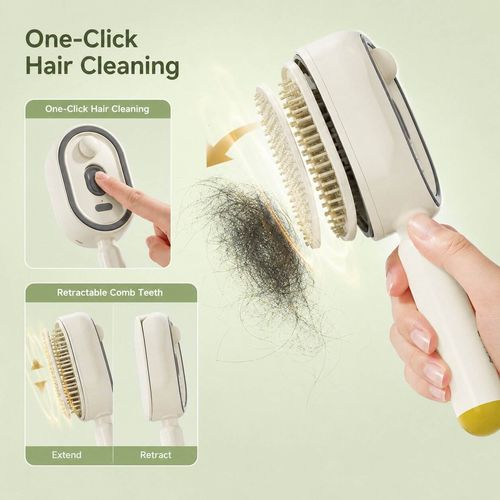 Electric Spray Massage Comb