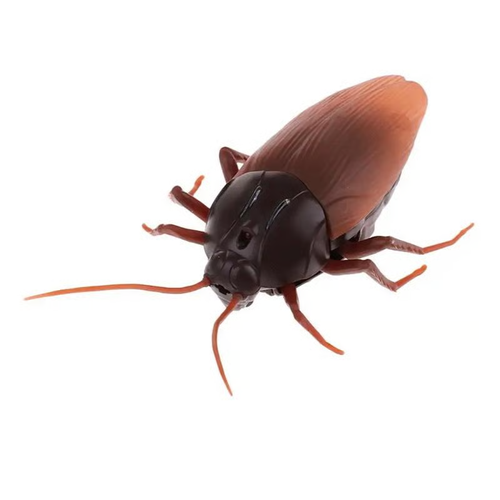 💥LAST DAY SALE 💥 Remote Control Cockroach - Electric & Remote Control Toy