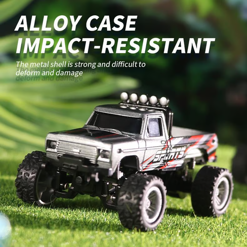 🔥 OEIN Mini RC Monster Truck