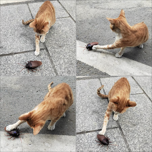 💥LAST DAY SALE 💥 Remote Control Cockroach - Electric & Remote Control Toy