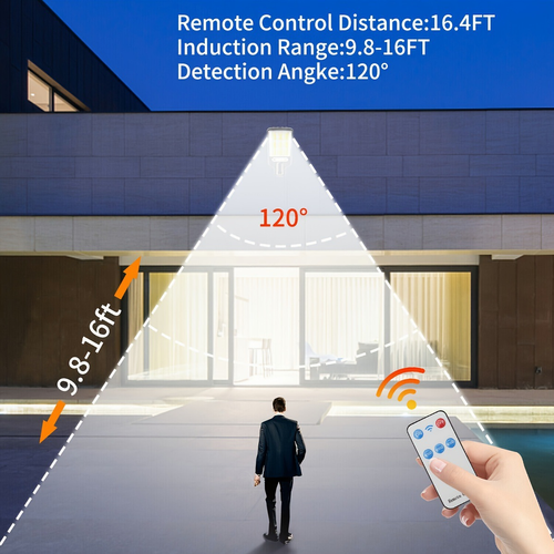 Solar-Powered Motion-Sensing Outdoor LED Wall Light with Remote Control