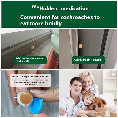 Indoor kitchen cockroach bait sticker for convenient cockroach control and removal