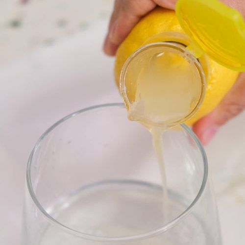 Lemon manual juicer