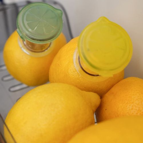 Lemon manual juicer