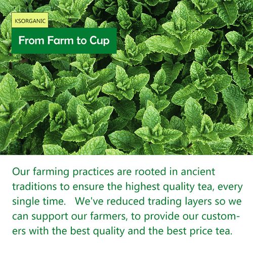 CoolMint Healing Tea Bags Healthy Drinking