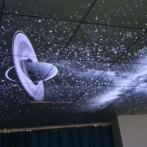 Starlit ceiling night light