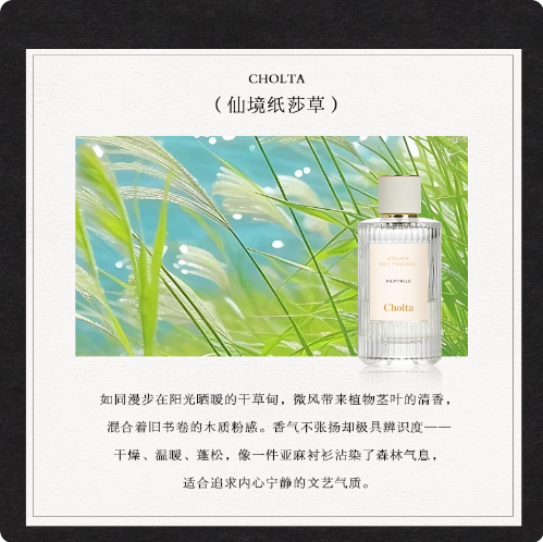 正品蔻北國雪松依煙雨茉莉木蘭詩語漫境橡野仙境紙莎草香水Cholta