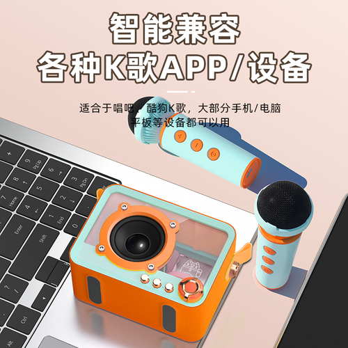 万吾 琉璃双唛K歌蓝牙音箱双话筒 QD06