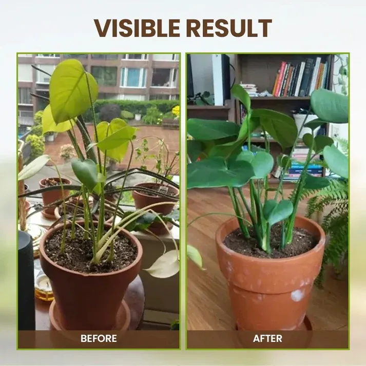 Soil pro Activator