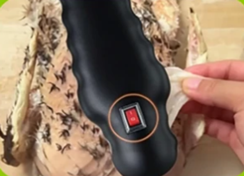 Brand New Wireless Electric Plucker