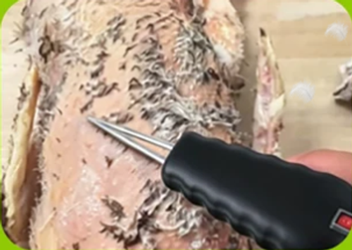 Brand New Wireless Electric Plucker
