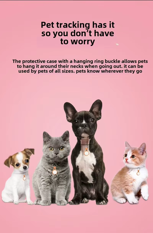 Bluetooth 5.0 Anti-Loss Device GPS 4G Network Key Tracker for Pets Cross-Border Mobile Phone Tracker