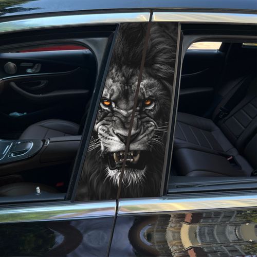 🔥🔥🔥A pair Car B-pillar sticker