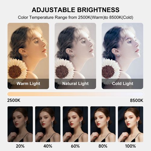 🔥🔥🔥2025 New Smartphone Video Stand Handheld LED Ring Light Selfie Light Mobile Video Stabilizer for Camera, Smartphone, Action Camera, Filming, Filmmaking and Makeup