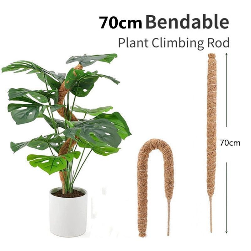 Plant Cages Supports Reusable Plant Climbing Stand Durable Flower Plants Support for Balcony Garden Courtyard Easy to Use 1PC