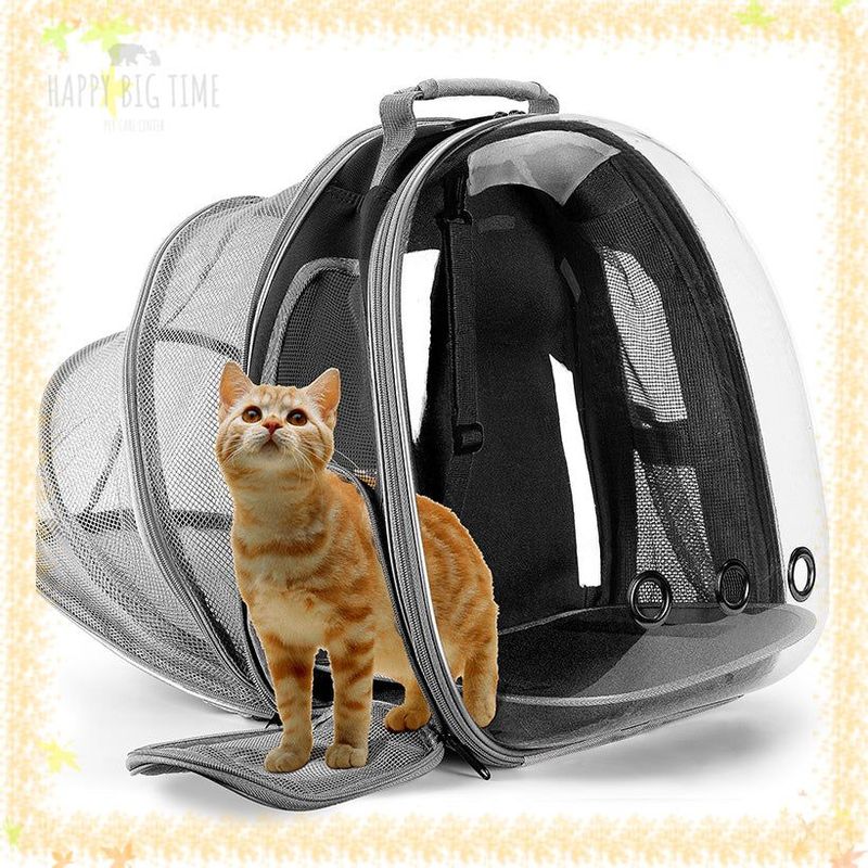 Lightweight Expandable Cat Carrier Clear Bubble Backpack Cat Tote Knapsack Airline Approved Capsule Design