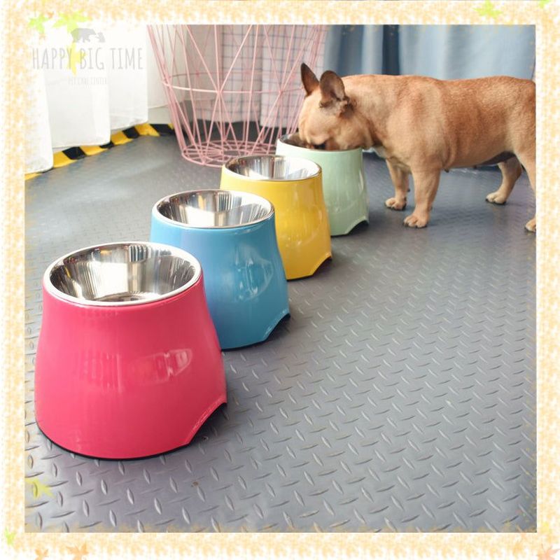 Dog Feeder Drinking Bowls for Dogs Cats Pet Food Bowl