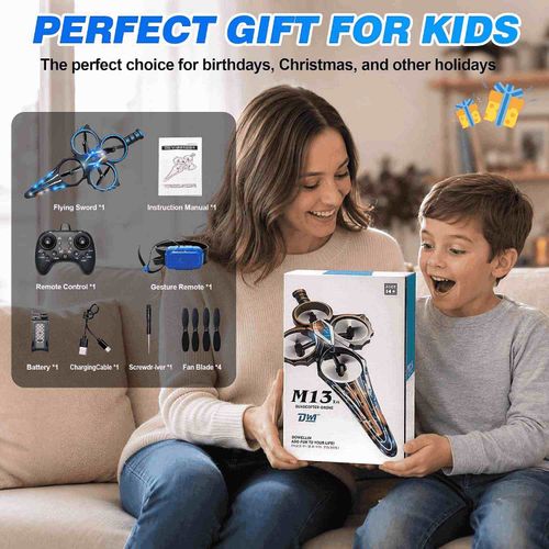 Flying Sword RC Airplane