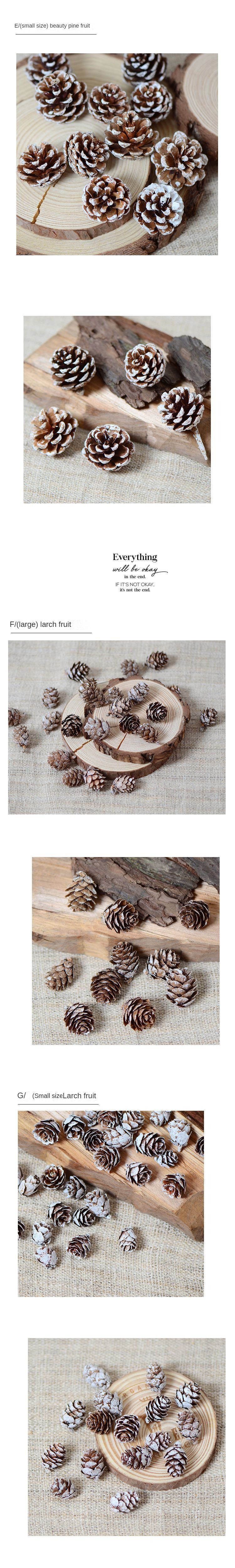 snowy pine cone