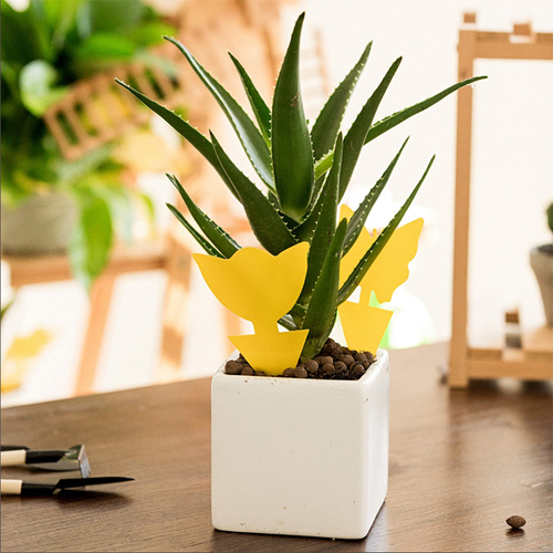 Shaped Sticky Insect Traps — Double-Sided Yellow Boards — New Design