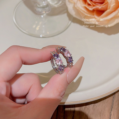 5 pairs of light luxury, unique stud earrings hoop earrings for women, trendy and versatile, featuring zircon stones.