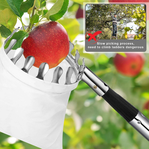 Orchard Stainless Steel Fruit Picker（without pole）