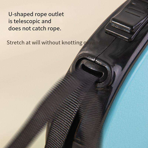Dog automatic leash pattern light blue 5 meters