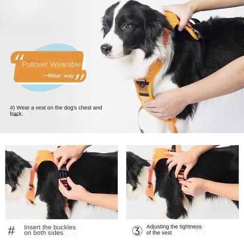 Integrated retractable chest and back dog leash