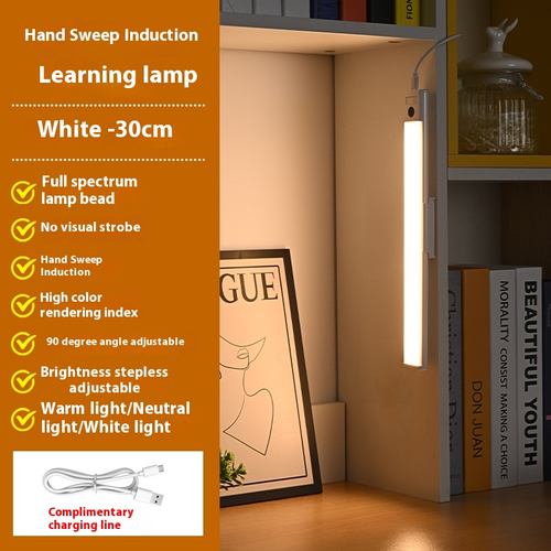 Motion-Activated Rechargeable Light — Automatically Illuminates at Night