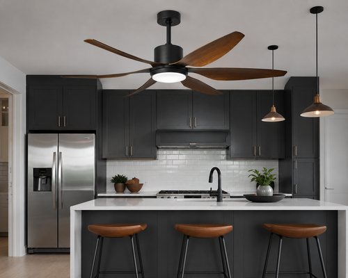 Art Ceiling Fan
