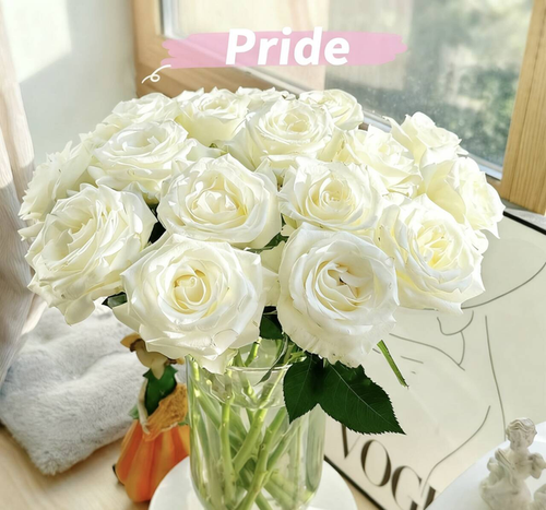 🔥Last Day Sale 49% OFF✨ - Advanced easy to plant rose seeds