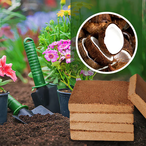 ✨ Organic Coconut Coir for Plants