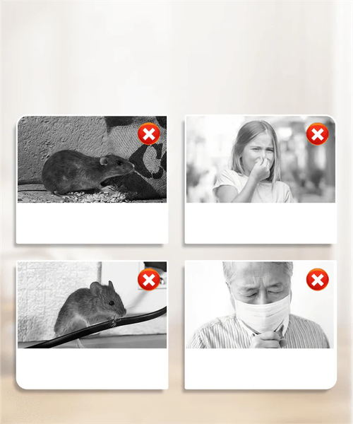 ✨Strong sticky mouse trap 2PCS