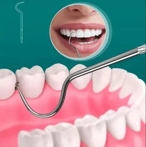 🔥Stainless Steel Toothpick Set 9pcs