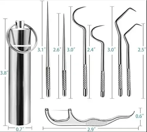 🔥Stainless Steel Toothpick Set 9pcs