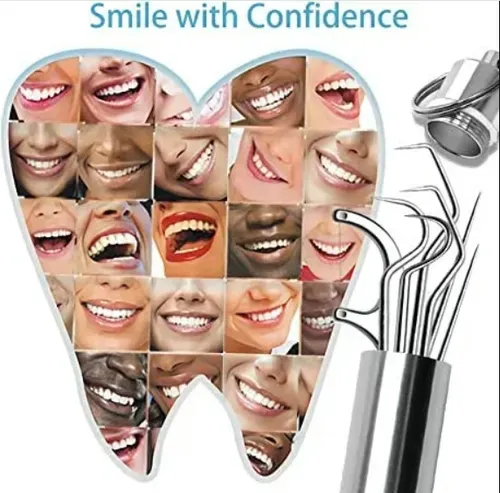 🔥Stainless Steel Toothpick Set 9pcs
