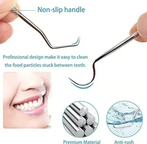 🔥Stainless Steel Toothpick Set 9pcs