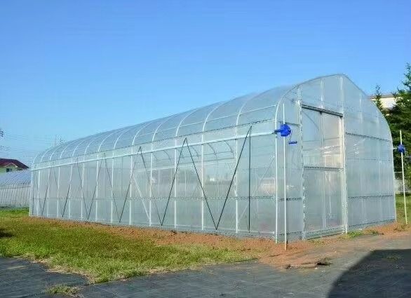 Low-cost Commercial Single-span Agricultural Greenhouse with Hot-dip Galvanized Steel Frame