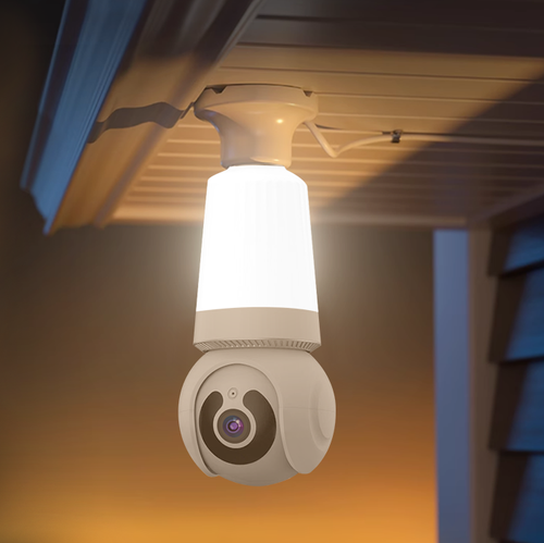 lighted security camera