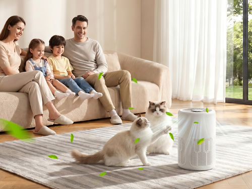 Home air purifier