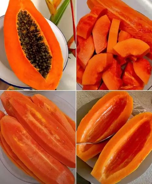 High Sugar Red Flesh Dwarf Papaya Seeds