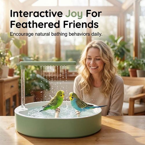 Electric Bird Bath with Rain Shower Perch – Safe