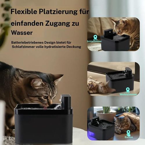 Automatic cat fountain