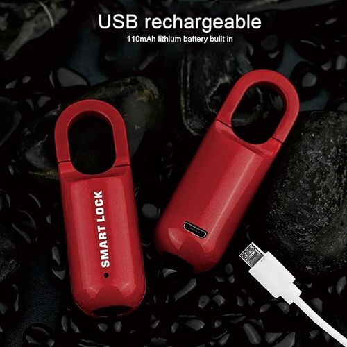 USB Charging Ultra Long Standby Mini Fingerprint Lock