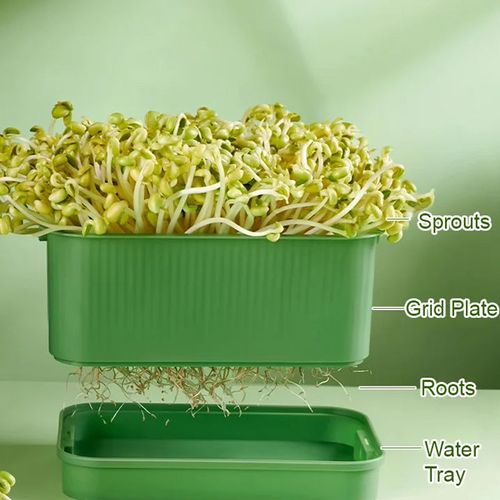 Bean Sprout Grower Box