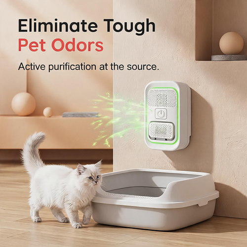 Mini Plug-In Negative Ion Air Purifier