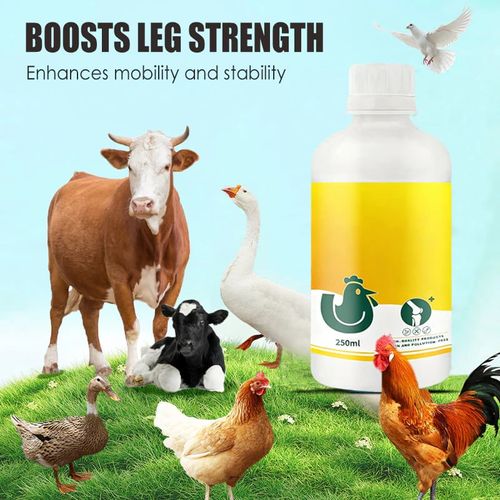 Strong Legs for Your Livestock